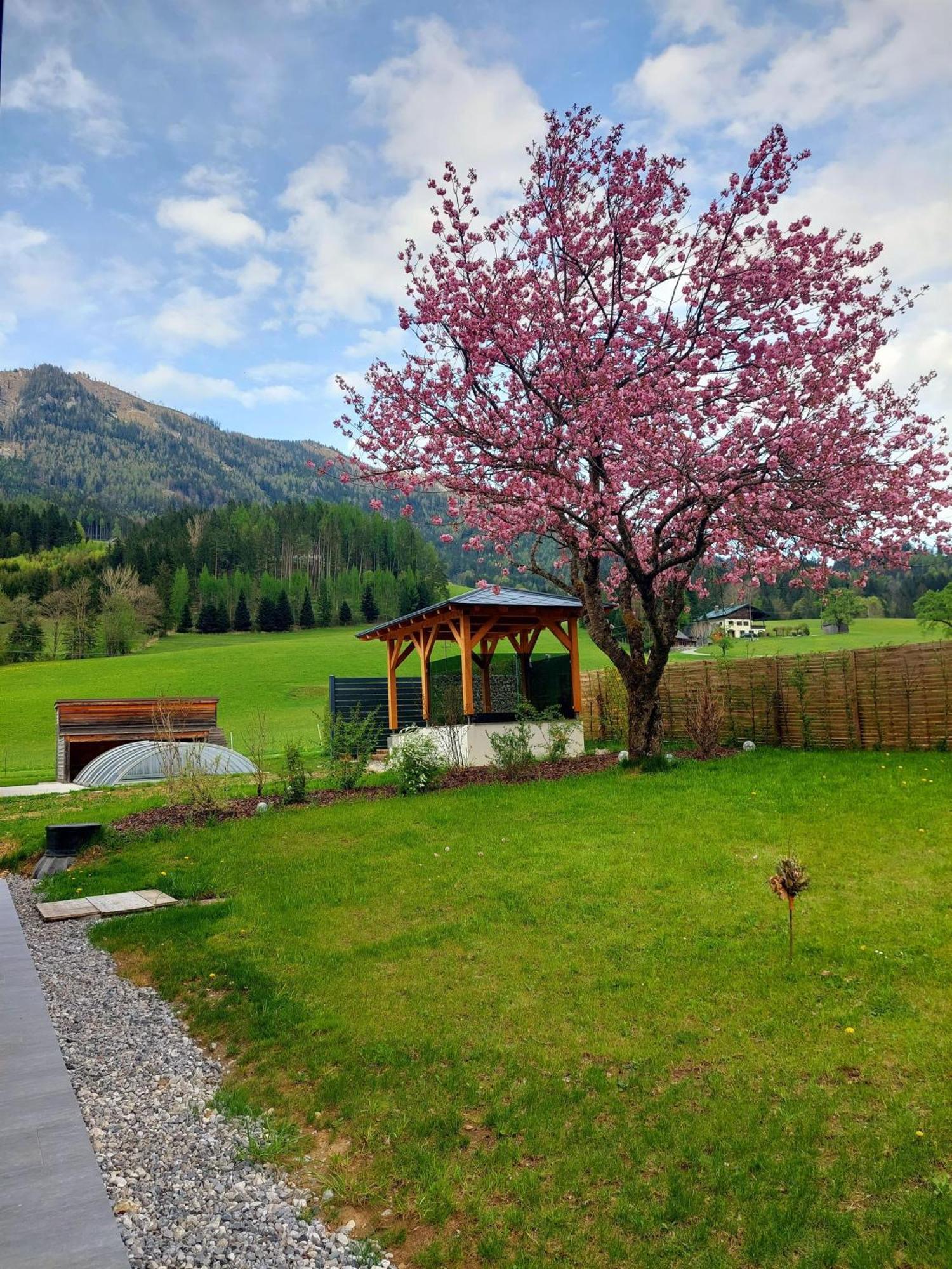 Hofpower'S Mountain Feeling Daire Hinterstoder Dış mekan fotoğraf
